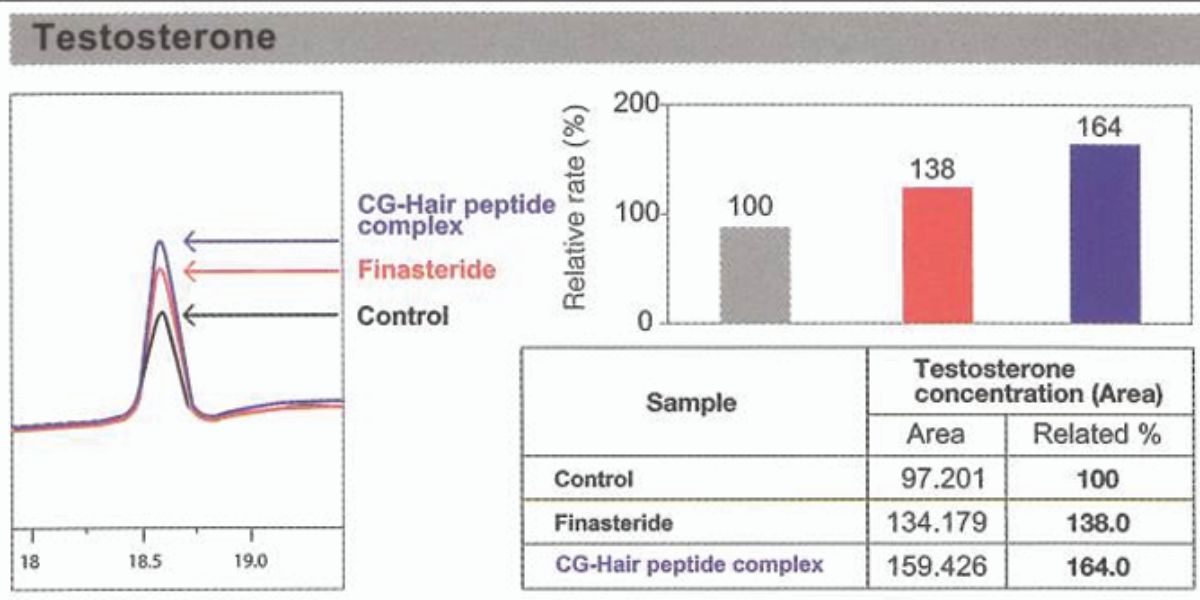 In Vitro Study 2