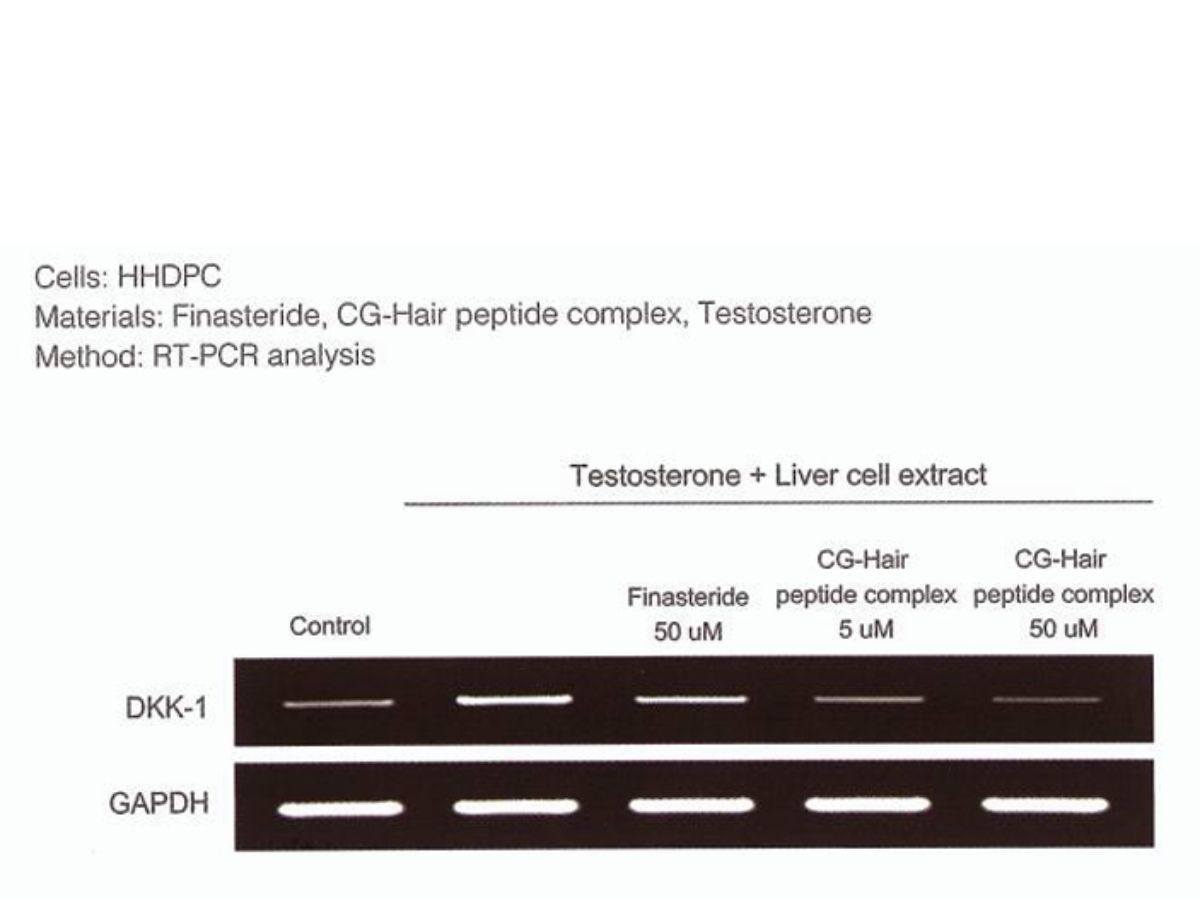 Regulation Study 1